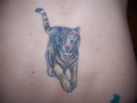 Jenna - tiger: real inked placement tattoo photo thumbnail