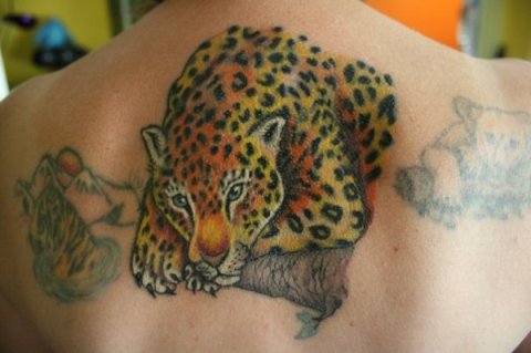Jude - Leopard: real inked placement tattoo photo thumbnail