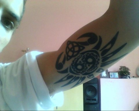 Luis - Crab: real inked placement tattoo photo thumbnail