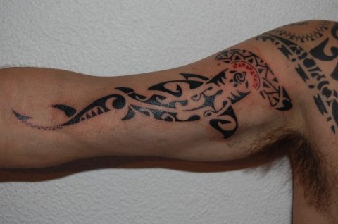 Mario - Mangopare: real inked placement tattoo photo thumbnail