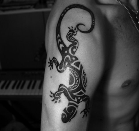 Marko - Lizard: real inked placement tattoo photo thumbnail