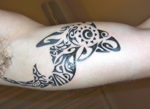 Matteo - Shark: real inked placement tattoo photo thumbnail