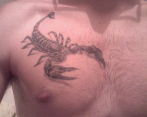 Michele - Scorpione: real inked placement tattoo photo thumbnail
