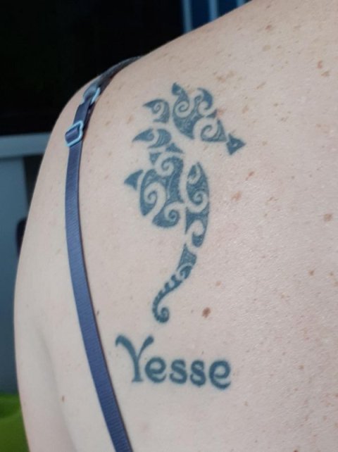 Natascha - Seahorse: real inked placement tattoo photo thumbnail