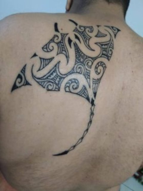 Shahab - Kirituhi manta: real inked placement tattoo photo thumbnail