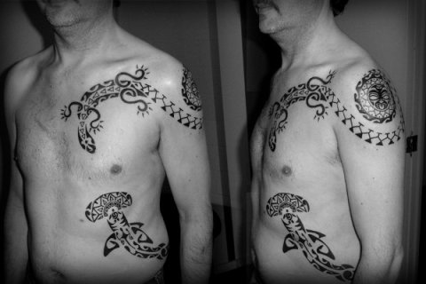 Steven - Ra & shark: real inked placement tattoo photo thumbnail