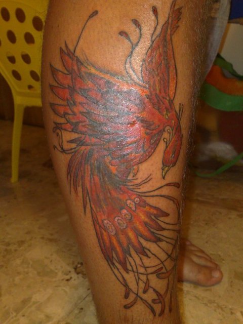 Tattoo H2O - Phoenix: real inked placement tattoo photo thumbnail