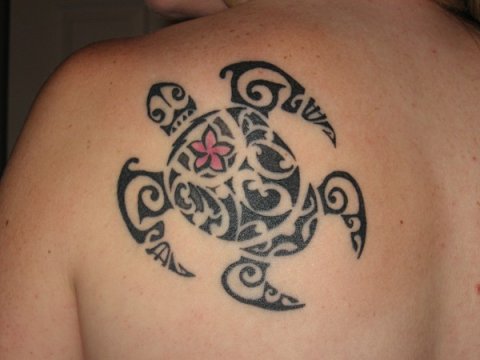 Vanessa - Balboa turtle: real inked placement tattoo photo thumbnail