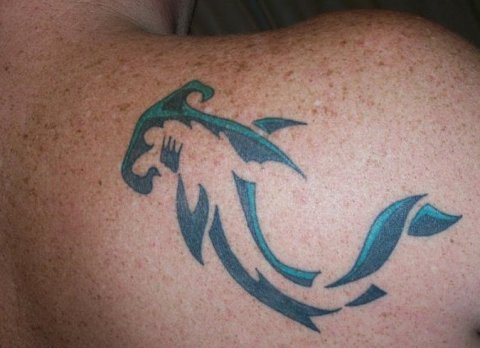 Warren - Shark: real inked placement tattoo photo thumbnail